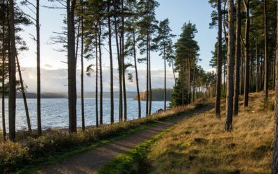 Bike Happy at Kielder!