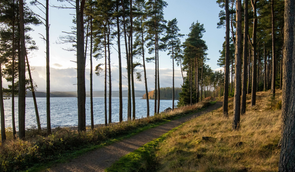 Bike Happy at Kielder!