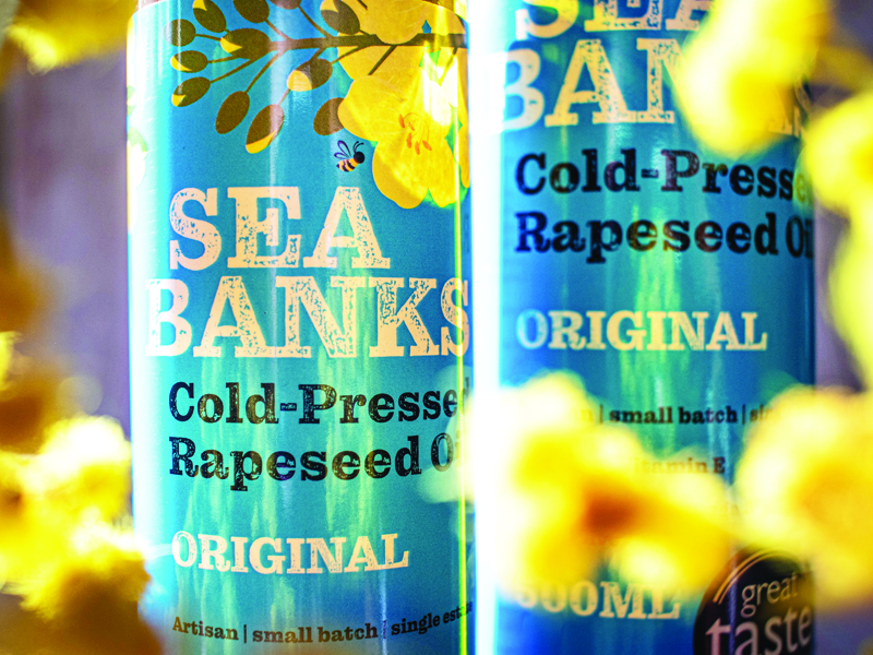 SeaBanks Portfolio (4) 800x600